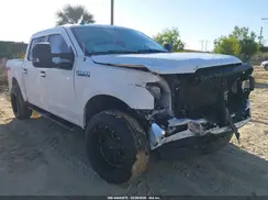 1FTEW1C45LFC18039 2020 FORD F-150