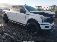 1FTEW1C47LFA24841 2020 FORD F-150