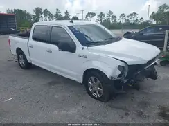 1FTEW1C49KKE38533 2019 FORD F-150