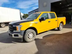 1FTEW1C51KKD91975 2019 FORD F-150