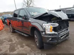 1FTEW1C53KKD70870 2019 FORD F-150