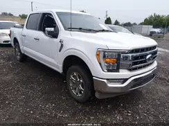 1FTEW1C53PFB46076 2023 FORD F-150