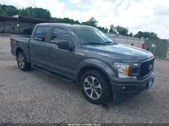 1FTEW1C56KKD42304 2019 FORD F-150