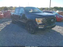 1FTEW1C56PFB73806 2023 FORD F-150