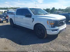1FTEW1C59PFB19481 2023 FORD F-150