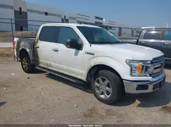 1FTEW1C5XKKE10247 2019 FORD F-150