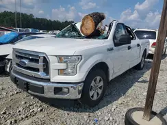 1FTEW1C80GFA18467 2016 FORD F-150