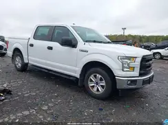 1FTEW1C80HFA40499 2017 FORD F-150