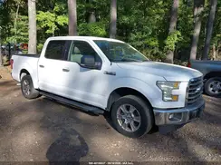 1FTEW1C80HFA75768 2017 FORD F-150