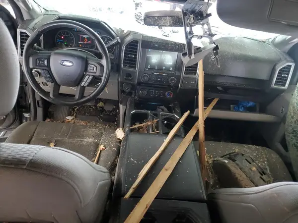 1FTEW1C80HFB53952 2017 FORD F-150 - Image 8