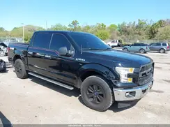 1FTEW1C80HFC36412 2017 FORD F-150