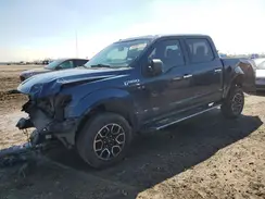 1FTEW1C80HKD49171 2017 FORD F-150