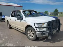 1FTEW1C80HKE36441 2017 FORD F-150