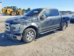 1FTEW1C81GFA22415 2016 FORD F-150