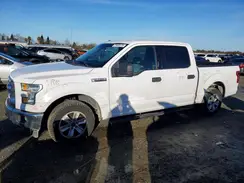 1FTEW1C81HKC19786 2017 FORD F-150