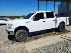 1FTEW1C81HKD49308 2017 FORD F-150