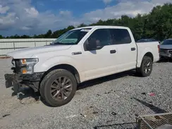1FTEW1C82GKD66438 2016 FORD F-150