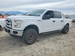 1FTEW1C84GKF32555 2016 FORD F-150