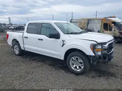 1FTEW1C84PKD69616 2023 FORD F-150