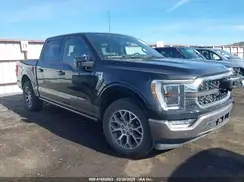 1FTEW1C86PFB46079 2023 FORD F-150