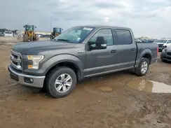1FTEW1C87GKD51921 2016 FORD F-150