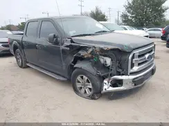 1FTEW1C87GKE29730 2016 FORD F-150