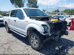 1FTEW1C87GKF19766 2016 FORD F-150