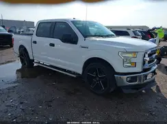 1FTEW1C8XHKC25831 2017 FORD F-150