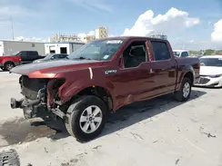 1FTEW1C8XHKD27050 2017 FORD F-150