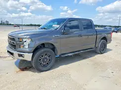 1FTEW1C8XHKE49276 2017 FORD F-150