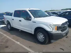 1FTEW1CB0KKD52302 2019 FORD F-150