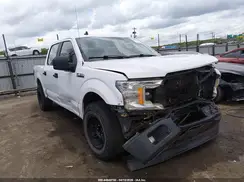 1FTEW1CB2LKE11643 2020 FORD F-150