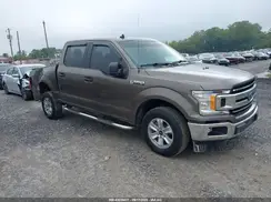1FTEW1CB3KKC40576 2019 FORD F-150