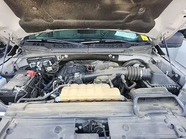 1FTEW1CB6LKD19936 2020 FORD F-150 - Image 8