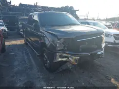 1FTEW1CB7KKC40483 2019 FORD F-150