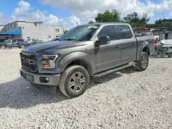 1FTEW1CF0HFA18646 2017 FORD F-150