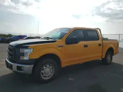 1FTEW1CF0HKD97493 2017 FORD F-150