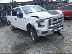 1FTEW1CF1GFA15740 2016 FORD F-150