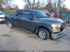 1FTEW1CF1GFA22493 2016 FORD F-150