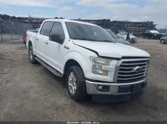 1FTEW1CF1GFB02408 2016 FORD F-150