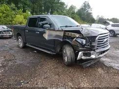 1FTEW1CF1HFA82081 2017 FORD F-150