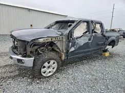 1FTEW1CF2GFB55022 2016 FORD F-150