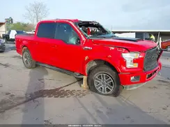 1FTEW1CF2GKE95732 2016 FORD F-150
