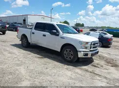 1FTEW1CF2HFB53224 2017 FORD F-150