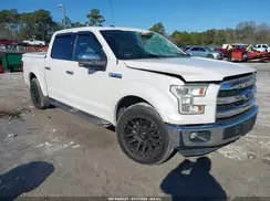 1FTEW1CF3GFC36594 2016 FORD F-150