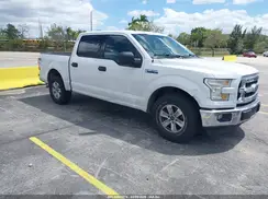 1FTEW1CF4GFA15599 2016 FORD F-150