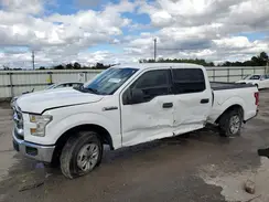 1FTEW1CF7HFB12202 2017 FORD F-150