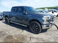 1FTEW1CF7HFB67569 2017 FORD F-150