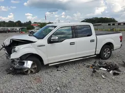1FTEW1CF8HFB41952 2017 FORD F-150