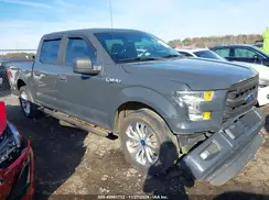 1FTEW1CF9GFD11248 2016 FORD F-150